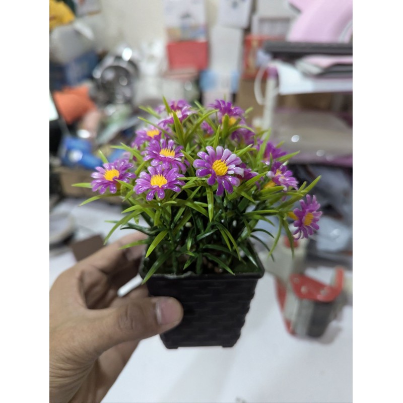 Picture of Artificial Purple Aster Daisy Potted Plants for Home Decoration Lifelike Indoor Fake Flowers with Black Plastic Pot Small Decorative Floral Arrangement for Office Desk Living Room Bedroom Shelf Aesthetic Decor.-Multicolor