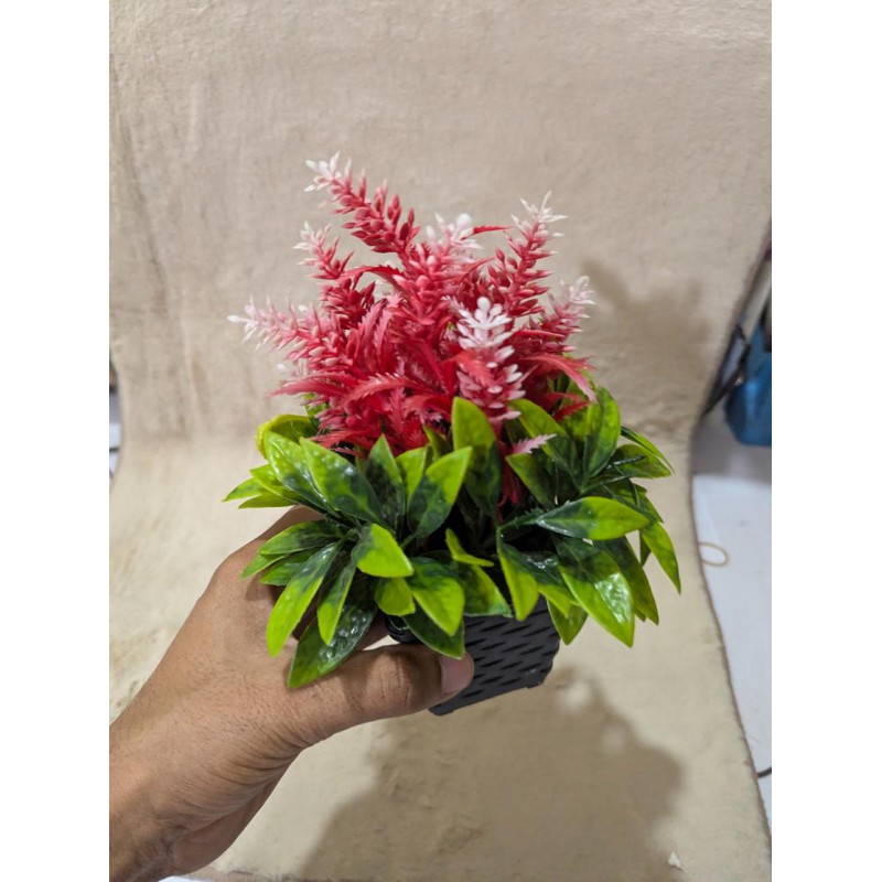 Picture of Artificial Mini Potted Plant with Pink and White Flowers in Black Woven Pot for Home and Office Decor-Multicolor