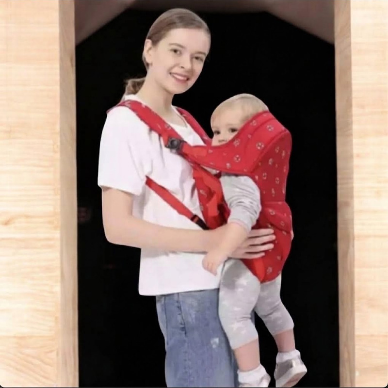 Picture of Babies Bloom 6-in-1 Baby Carrier for Newborns and Toddlers (2-30 Months), Adjustable with Padded Straps, Breathable Mesh, and Removable Head Support for Comfort and Safety-Multicolor