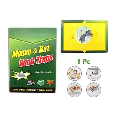 Picture of Mouse & Rat Killing Glue Board Size : Big