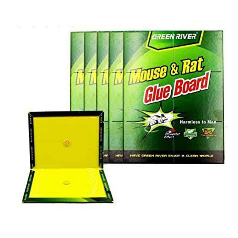 Picture of Mouse & Rat Killing Glue Board Size : Big