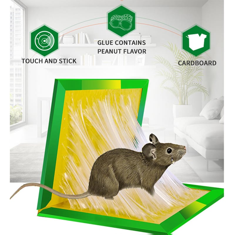 Picture of Mouse & Rat Killing Glue Board Size : Big