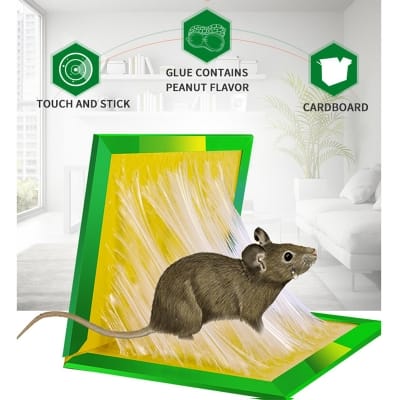 Picture of Mouse & Rat Killing Glue Board Size : Big