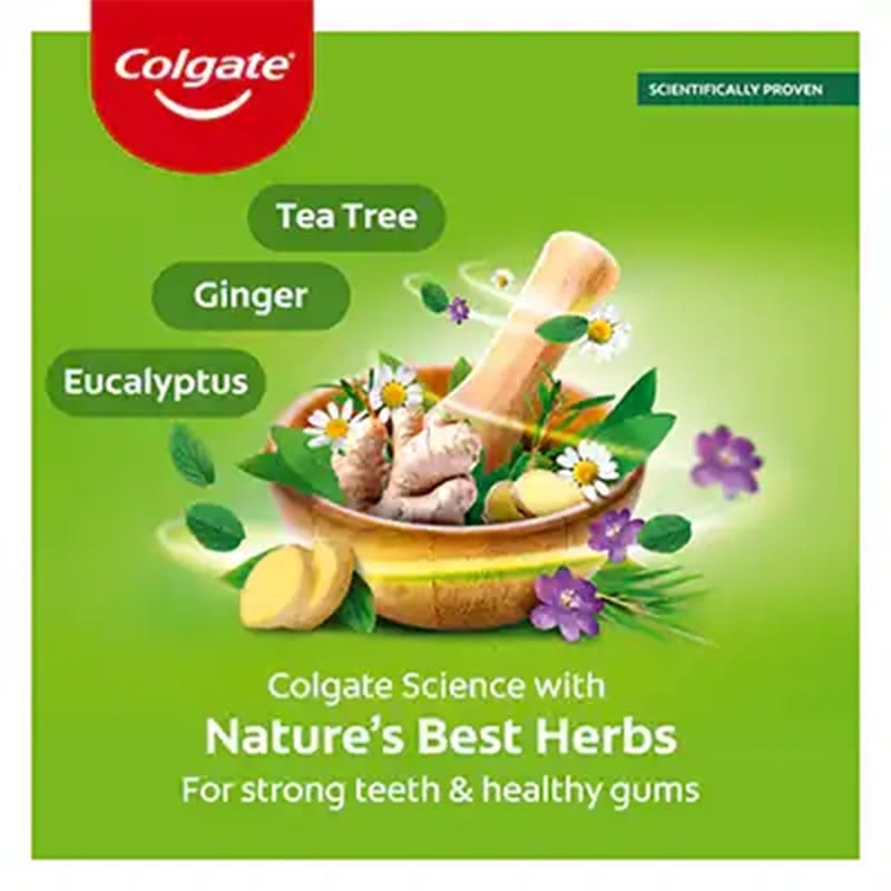 Picture of Colgate Herbal Healthy Gumstoothpaste (U.A.E) - 150Gm