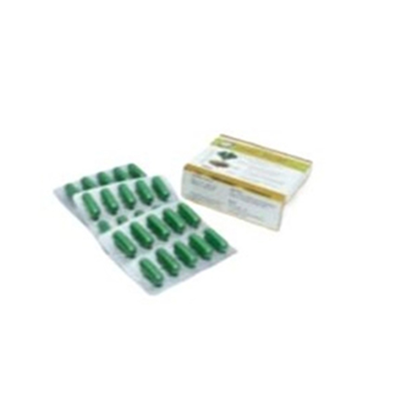 Picture of Ginko Biloba 40mg Modern Herbal