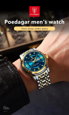Picture of POEDAGAR Luxury Watch for Man Elegant Date Week Waterproof Luminous Men Watch Quartz Stainless Steel Sports Men's Watches - Blue
