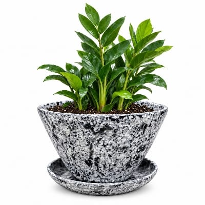 Picture of Planet Pot Assorted Color