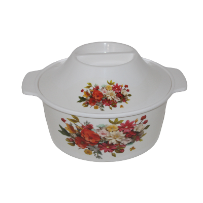 Picture of 10" Modern Cover Bowl with Lid-Assorted Color
