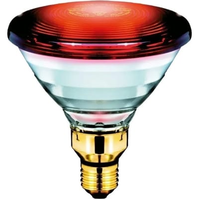 Picture of Philips Infrared R95 Therapy Lamp Bulb – 150W | Effective Pain Relief & Muscle Recovery