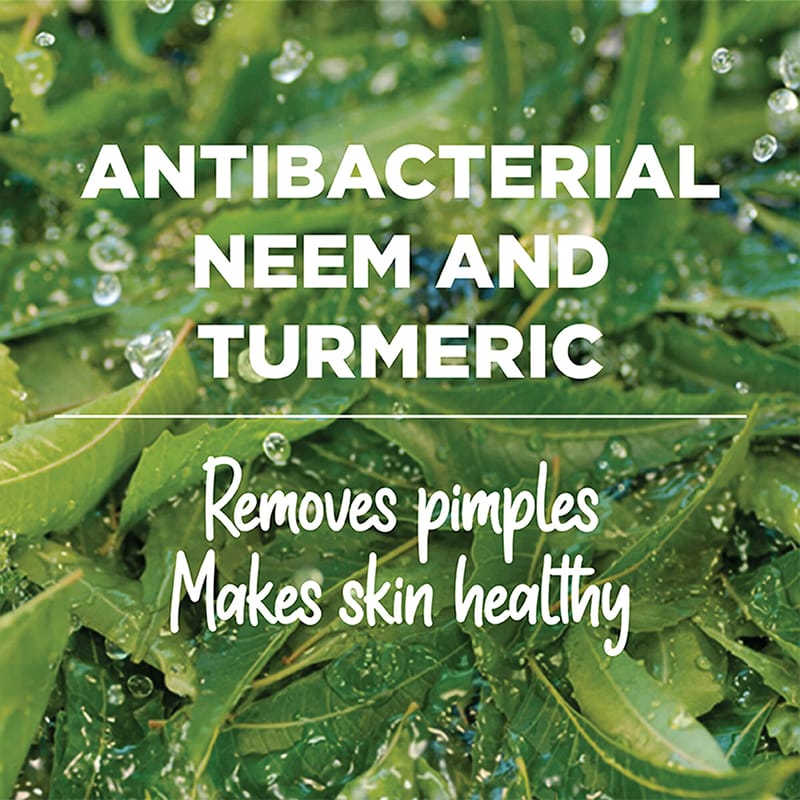 Picture of Purifying Neem Face Wash 100ml INDIAN
