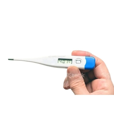 Picture of Digital Thermometer (0 Months Warranty)