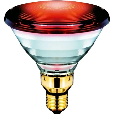 Picture of Philips Infrared R95 Therapy Lamp Bulb – 150W | Effective Pain Relief & Muscle Recovery