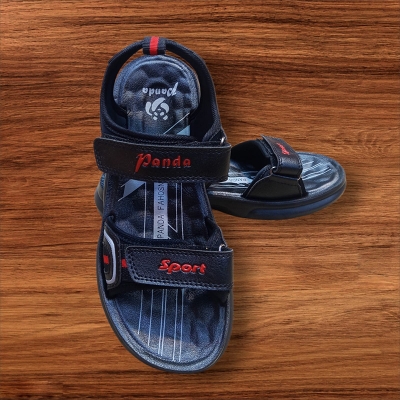 Picture of Panda Comfortable Boys Sandals - Sandals For Men Multicolor