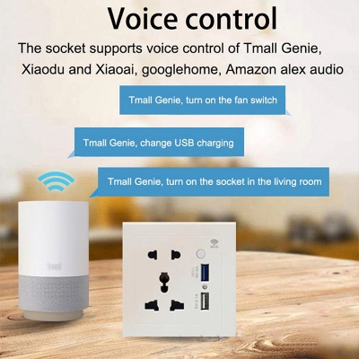 Picture of TechLimb Smart WiFi Wall Socket with USB QC3.0 10A - White