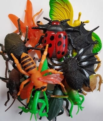 Picture of 5 pcs Insect Natural Toy  Bug World Nature Kids Educational Gifts