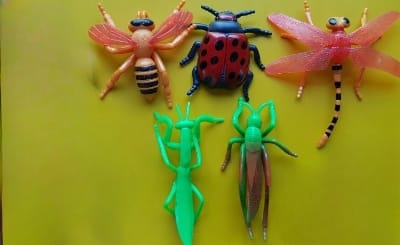 Picture of 5 pcs Insect Natural Toy  Bug World Nature Kids Educational Gifts
