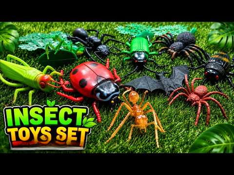 Picture of 5 pcs Insect Natural Toy  Bug World Nature Kids Educational Gifts