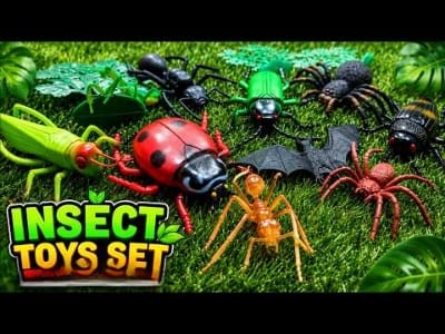Picture of 5 pcs Insect Natural Toy  Bug World Nature Kids Educational Gifts