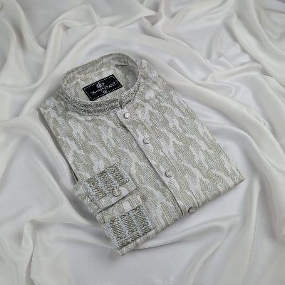 Picture of Elite Elegant Festive Panjabi