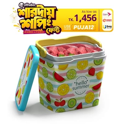 Picture of Thermal Ice Box Assorted -25 L