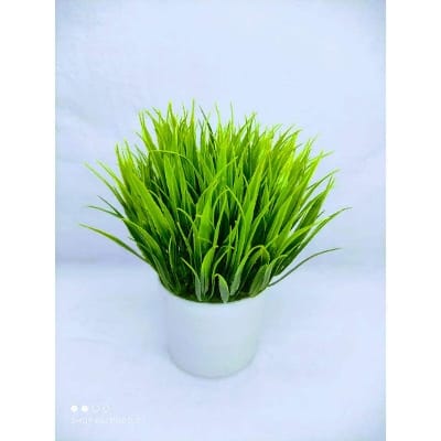 Picture of Artificial plant in plastic vases Home Decoration Item-Green