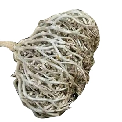 Picture of Moriom Flower-White