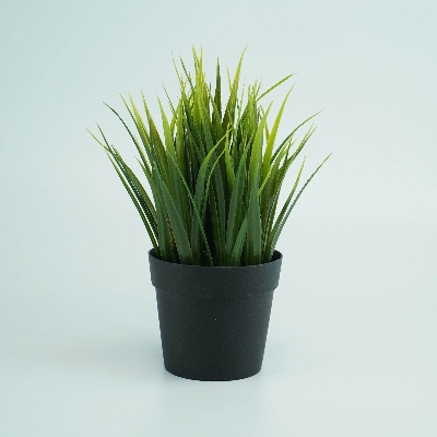 Picture of Artificial Plotted Plant - Home Decoration Item-Green