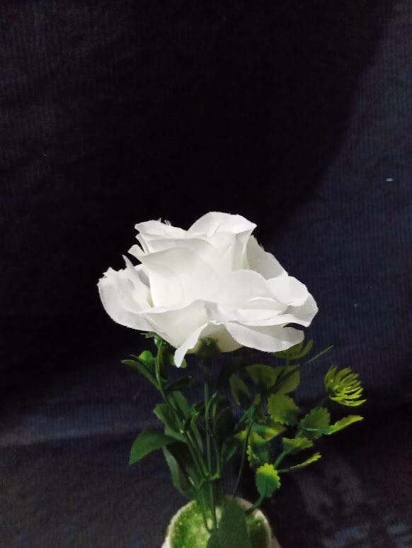 Picture of Artificial plant flower - Home Decoration Item-White