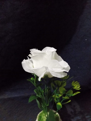 Picture of Artificial plant flower - Home Decoration Item-White