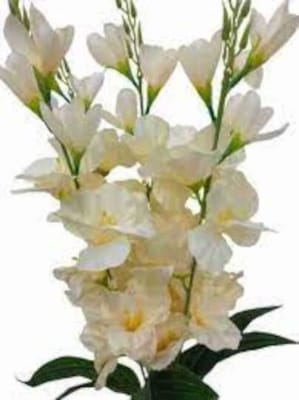 Picture of Artificial Flower 1 full Stick 24 Inc Long  for Home Decoration Item-White