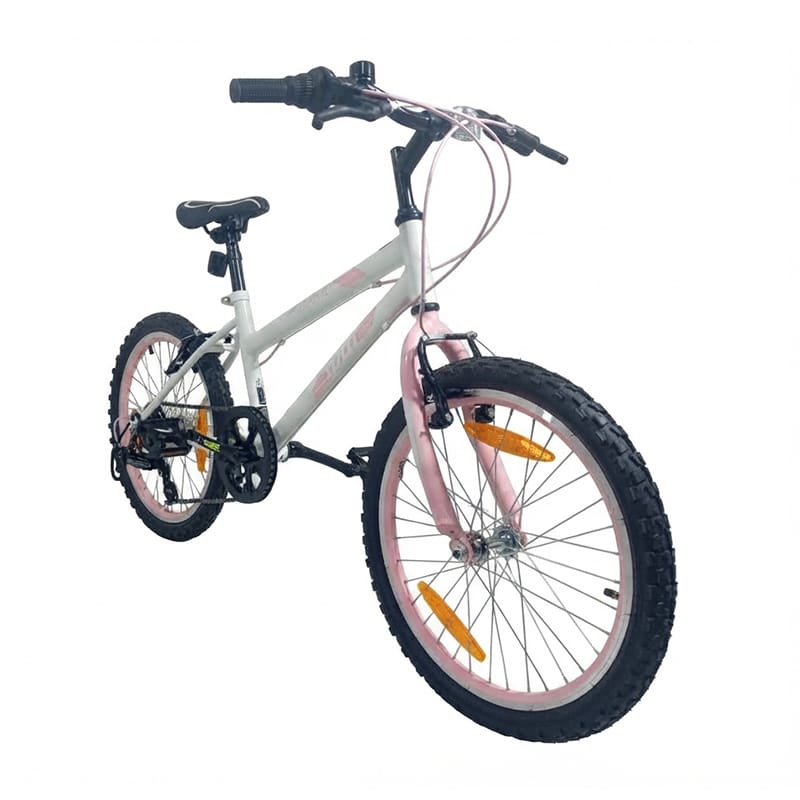 Picture of  EU STANDARD 20 INCH 6 SPEED BOYS & GIRLS BICYCLE WITH SHIMANO GEAR SET