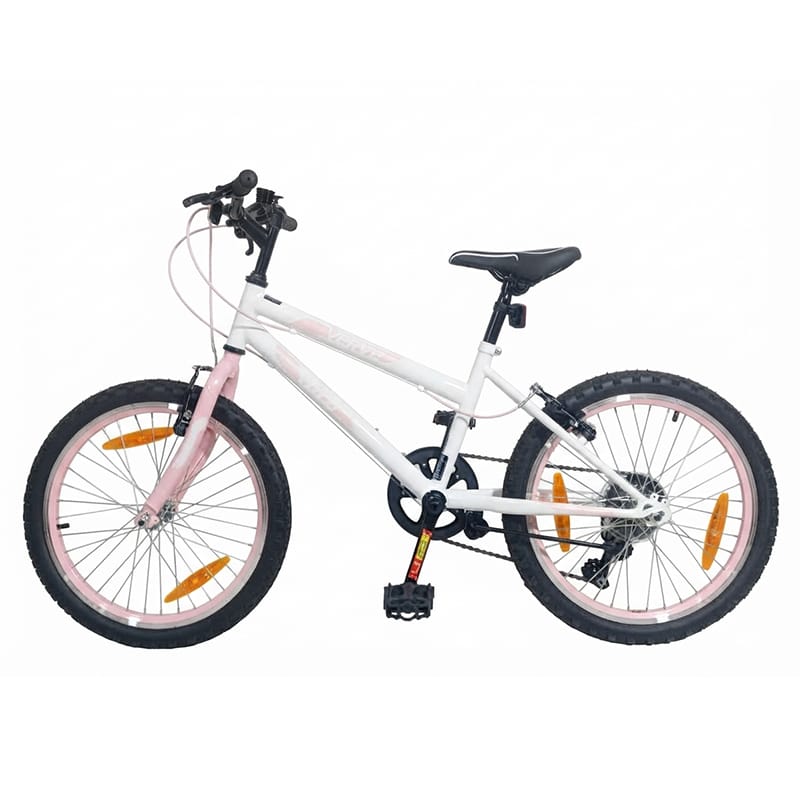 Picture of  EU STANDARD 20 INCH 6 SPEED BOYS & GIRLS BICYCLE WITH SHIMANO GEAR SET