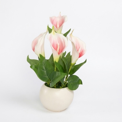 Picture of Artificial Calla Lilly Flowers & Plants with Round Plastic Pot (KL  2)