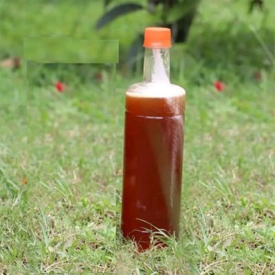 Picture of Premium Organic Honey 1KG - Natural Raw Bee Honey in Modhu Bottle