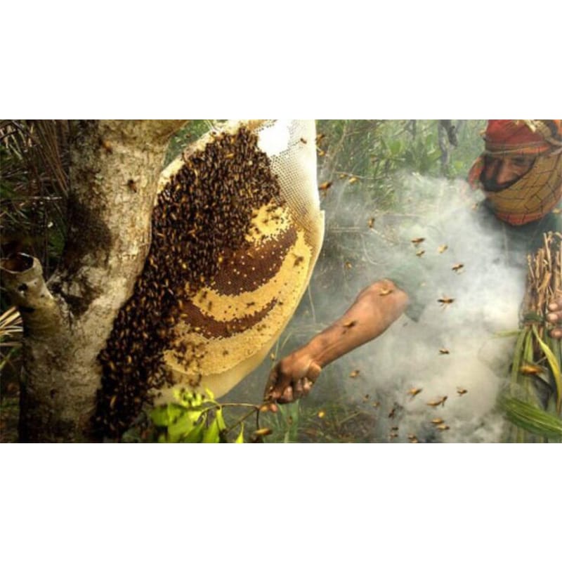 Picture of Premium Organic Honey 1KG - Natural Raw Bee Honey in Modhu Bottle