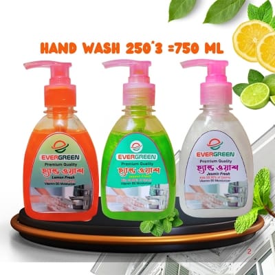 Picture of Premium Quality Evergreen Safety Plus Liquid Hand Wash 3 In 1 Combo With Pump  (250X3=750Ml) lemon