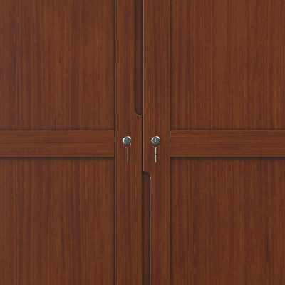 Picture of REGAL Cupboard - Avon CBH-395-3-1-20 (2 DOOR)