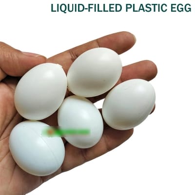 Picture of 5 pcs x Liquid Filled Plastic Egg Dummy Pigeon Bird Egg Hatching Poultry Breeding Eggs White