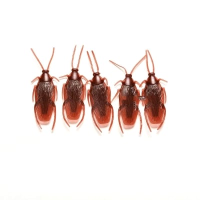 Picture of 5 pcs x Simulation Plastic Cockroach Toy Realistic Insect Prank Funny Toys Brown