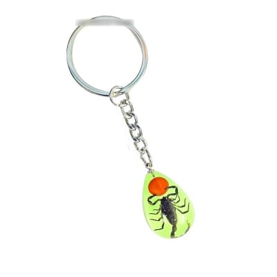 Picture of Luminous Small Scorpion Key Ring Glow in the Dark Fluorescent Keyring Key Holder Small Scorpion