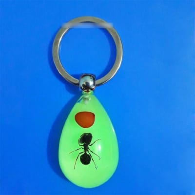 Picture of Luminous Large Ant Key Ring Glow in the Dark Fluorescent Keyring Key Holder Large Ant