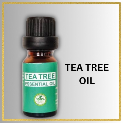 Picture of TEA TREE ESSENTIAL OIL-10ml