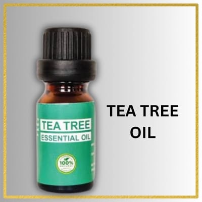 Picture of TEA TREE ESSENTIAL OIL - 10 ML