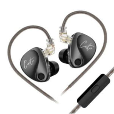 Picture of KZ Castor Tuning Adjustable Dual Driver IEM Earphones - Black