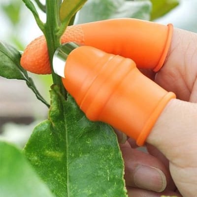 Picture of Vegetable Finger Cutter 5 Pcs Set