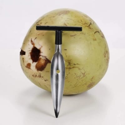 Picture of Metal Coconut Opener