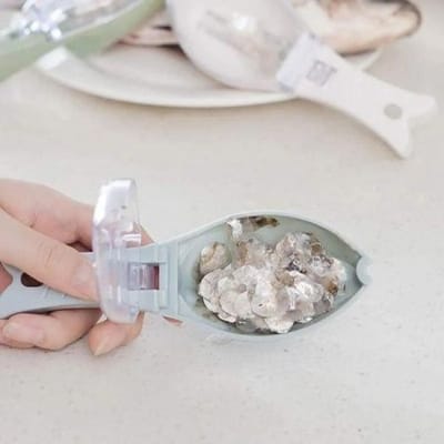 Picture of Fish Skin Brush
