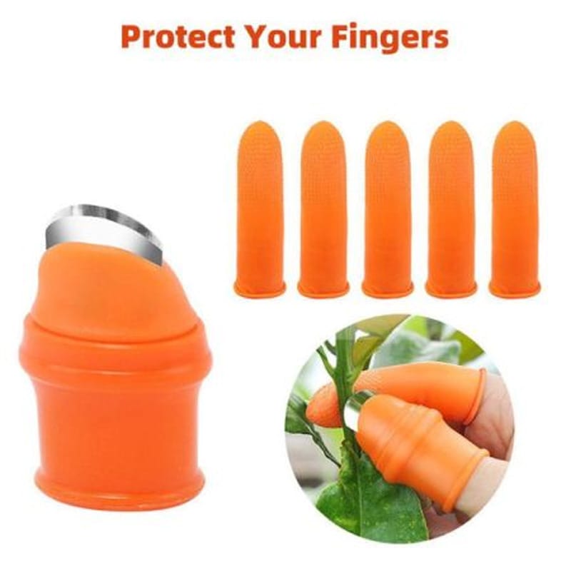Picture of Vegetable Finger Cutter 5 Pcs Set
