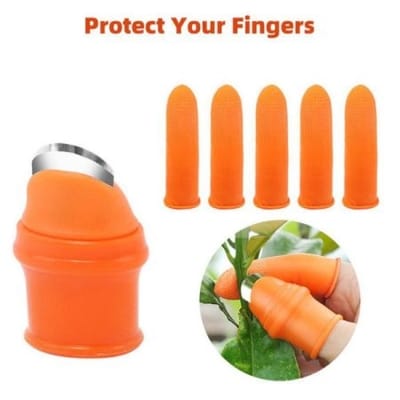 Picture of Vegetable Finger Cutter 5 Pcs Set
