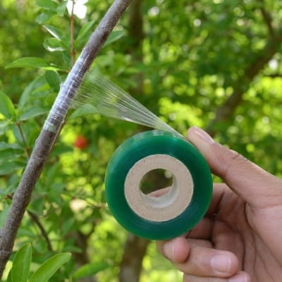 Picture of Grafting Tape Bind Belt PVC  for Grafting Gardening Plants 1PCS Blue